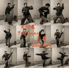 Image result for Southgate T`ai Tsung Chinese Boxing