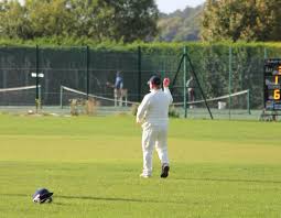 Image result for Purley Cricket Club
