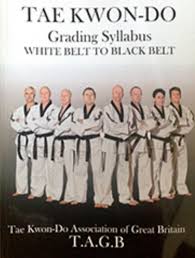 Image result for Newbury TAGB Tae Kwon-Do (Juniors)