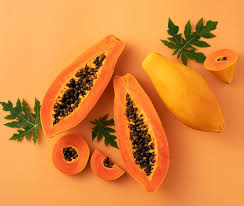 Image result for Carica papaya