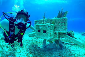 Image result for Exe To Sea Diving