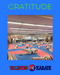 Image result for Valentin Karate