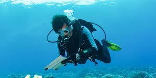 Image result for World Divers