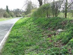 Image result for Cokenach Cc