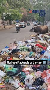 Image result for Bangalore Garbage