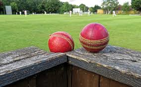 Image result for North London Cricket Club
