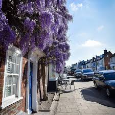 Image result for Old Alresford Cricket Club