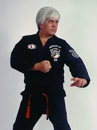 Image result for Northern Freestyle Karate Association