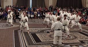 Image result for yonju dojo