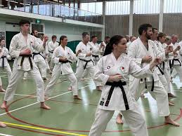 Image result for Thatcham Wado Karate Club