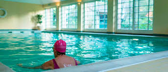 Image result for York University Pool Club