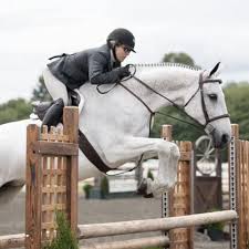 Image result for Lower Farm Stables