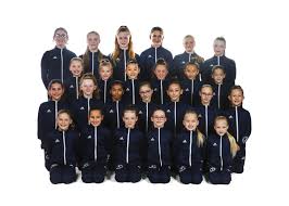 Image result for Pinewood Gymnastics Club
