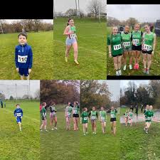 Image result for Annadale Striders Ac