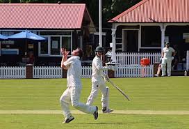 Image result for Laughton Cricket Club