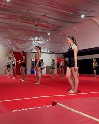 Image result for Kestrel Gymnastic Group