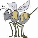 Hornet coloring page