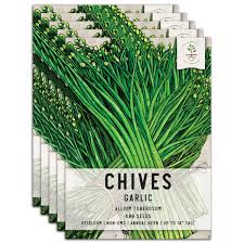 Image result for Allium tuberosum