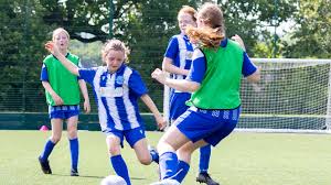 Image result for Beecholme Belles Football Club