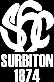 Image result for Surbiton Hockey Club