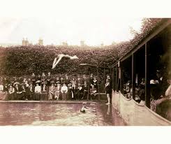 Image result for Hitchin Swimming Club