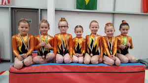 Image result for Kestrel Gymnastic Group