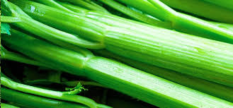 Image result for Sellerie