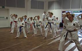 Image result for Dragon Wushu Club