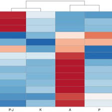 Attēlu rezultāti vaicājumam “Saussurea esthonica leaf”