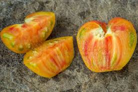 Afbeeldingsresultaat voor belarus orange tomato