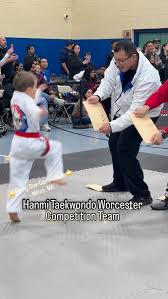Image result for New Milton Taekwondo Club