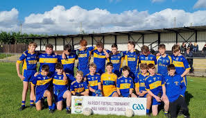 Image result for An Riocht Gaa Club