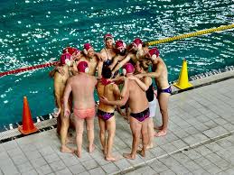 Image result for York University Swimming & Water Polo Club