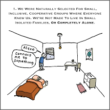 Image result for 241543903