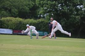 Image result for Narberth Cricket Club