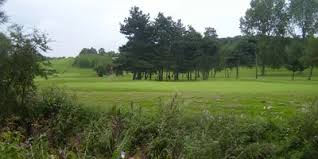 Image result for Hartlepool Gc