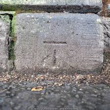 Image result for example