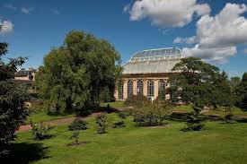 Image result for Genbukan Edinburgh