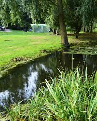 Image result for Elkesley All Rounders