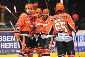 Image result for Sheffield Steelers