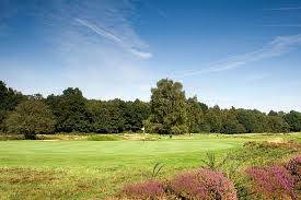 Image result for Walton Heath Golf Club