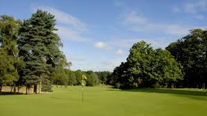 Image result for Chelmsford Gc