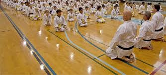 Image result for GoJu-Kai Karate Club