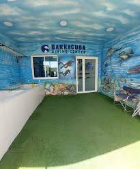 Image result for Black Country Barracudas Sub Aqua Club