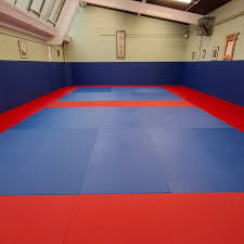 Image result for Oxford University Shorinji Kempo Club