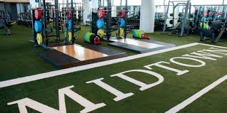 Image result for Swallows Of Helston Gym Club