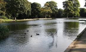 Image result for Hunslet Green Community Sports & Social Club