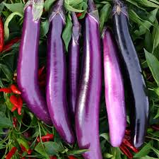 Afbeeldingsresultaat voor slim jim eggplant