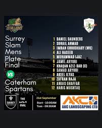 Image result for Peper Harow Cricket Club