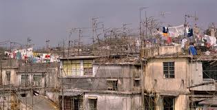 Image result for kowloon walled city